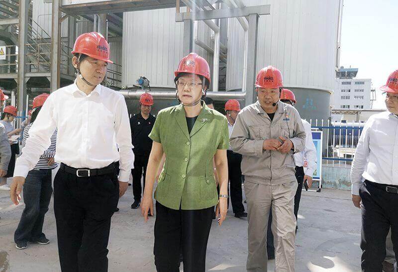 2019年5月23日，全国政协副主席李斌（左二）到QY千亿国际调研