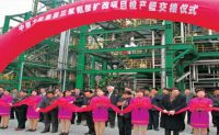 2000-2005年，采用意大利欧技工艺技术，相继建成了三套三聚氰胺生产装置，年产能5.4万吨